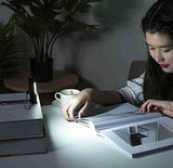 LED Flashlight